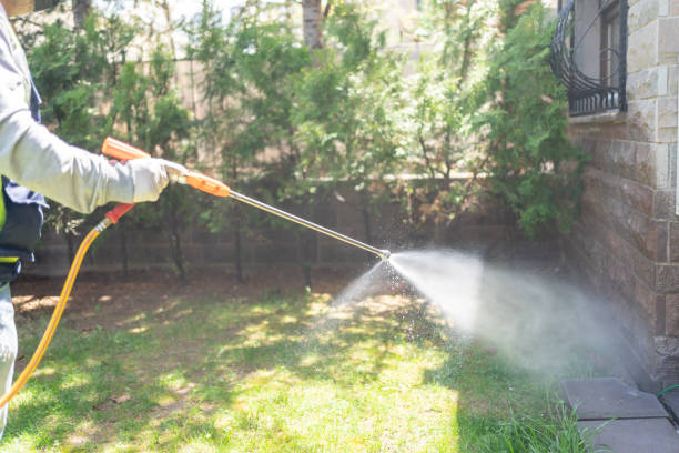 Best Residential Pest Control  in Dumont, NJ